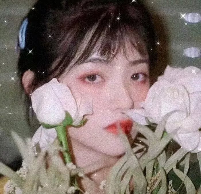 黑之契约者2:流星的双子