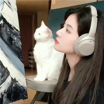 顽皮豹喇叭